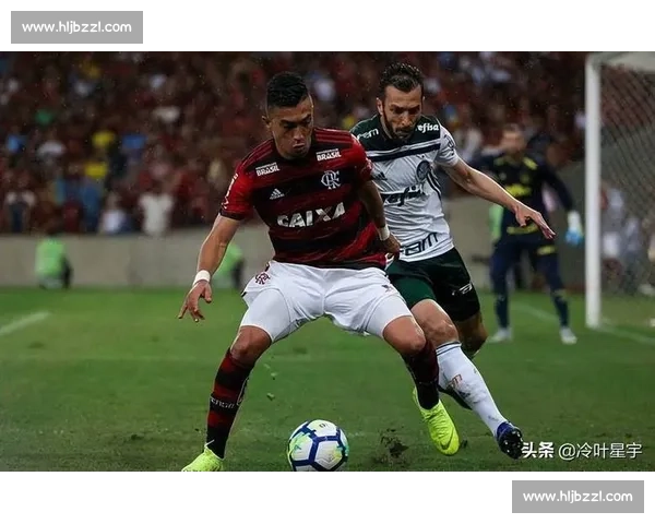 戈亚尼亚主场迎战戈亚斯焦点对决前瞻与胜负走势分析关键因素解读